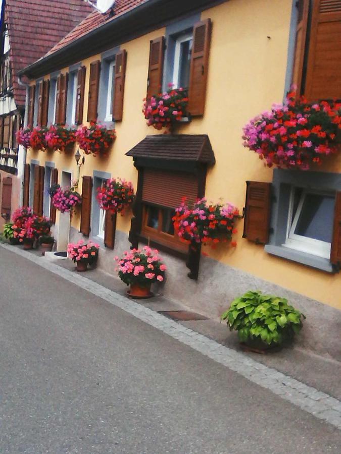 Relais De La Diligence Apartman Romanswiller Kültér fotó